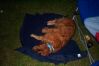 Howling @ The Moon 030.jpg